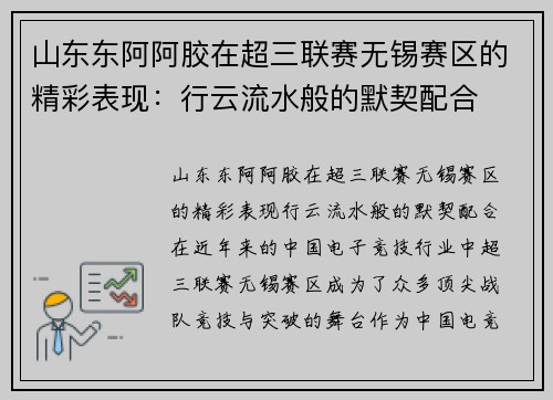 山东东阿阿胶在超三联赛无锡赛区的精彩表现：行云流水般的默契配合
